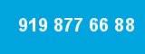 919 877 66 88 919 877 66 88